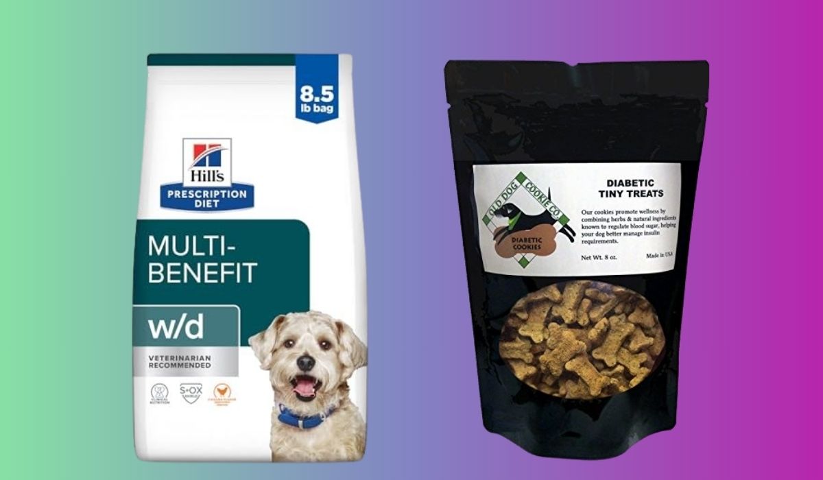 What Dog Food is Best for Dogs With Diabetes