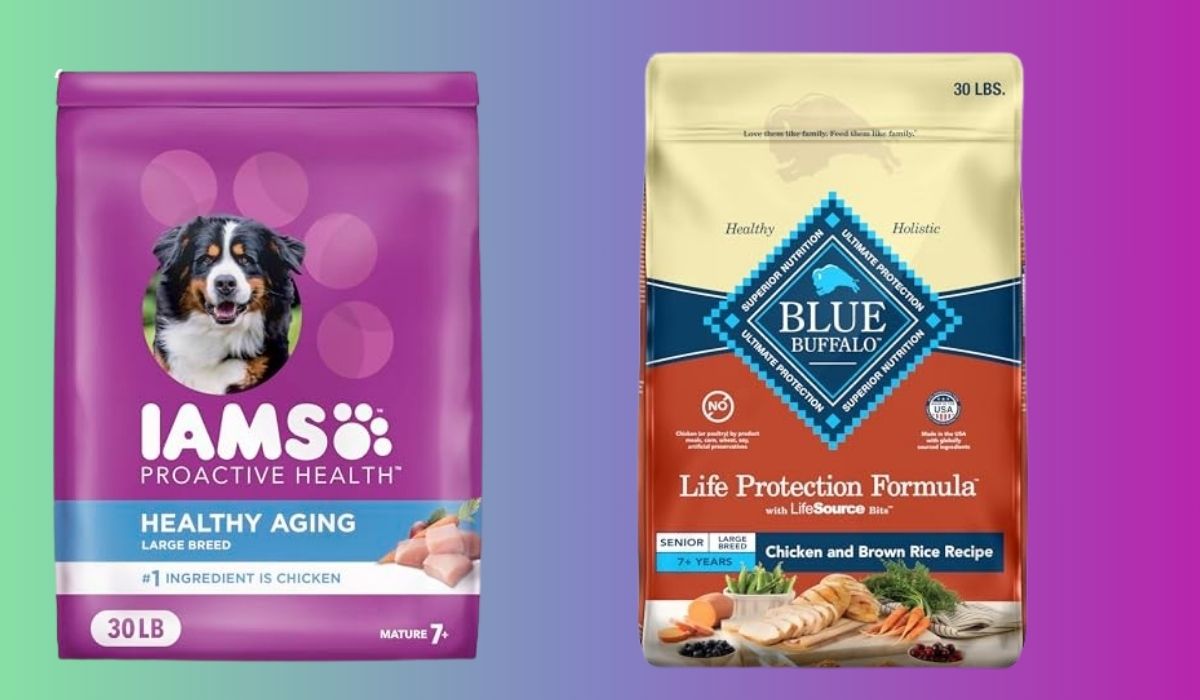 Best Dog Food for Large Breed Senior Dogs