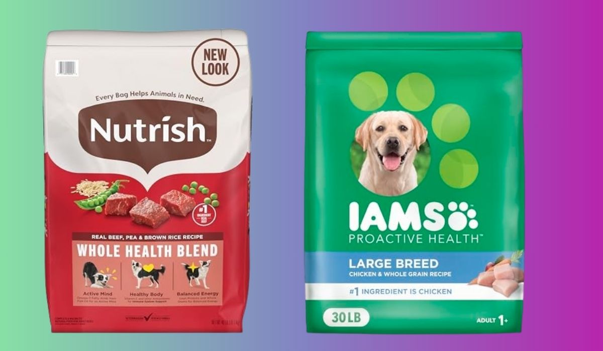 Best Dry Dog Food for Large Dogs With Grain