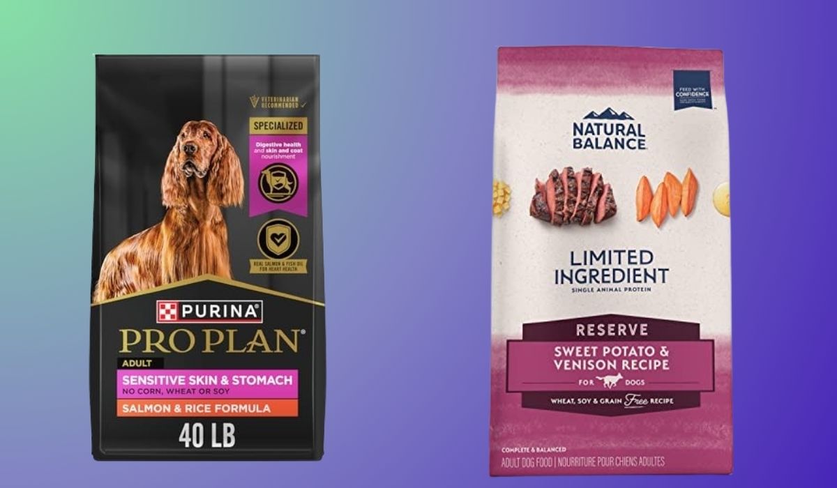 What is the Best Dog Food for Allergic Dogs