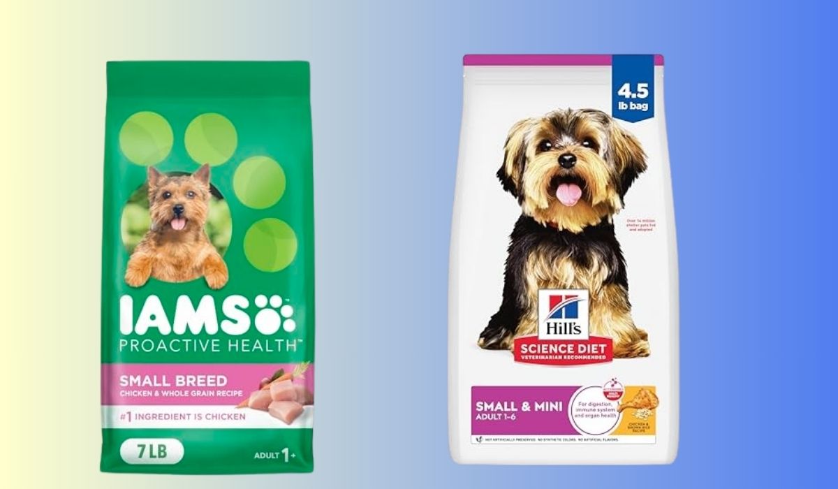 Best Dog Food for Small Dogs That are Picky