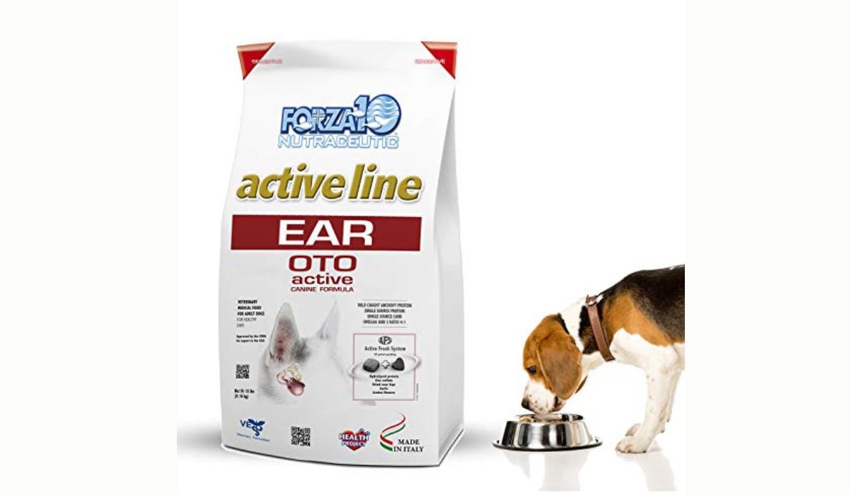 Best Dog Food for Dogs With Ear Infections