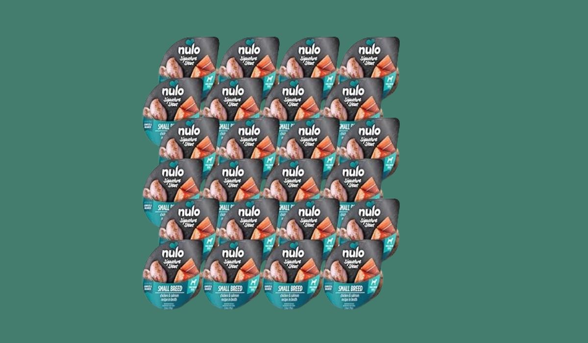 Best Grocery Store Dog Food for Small Dogs