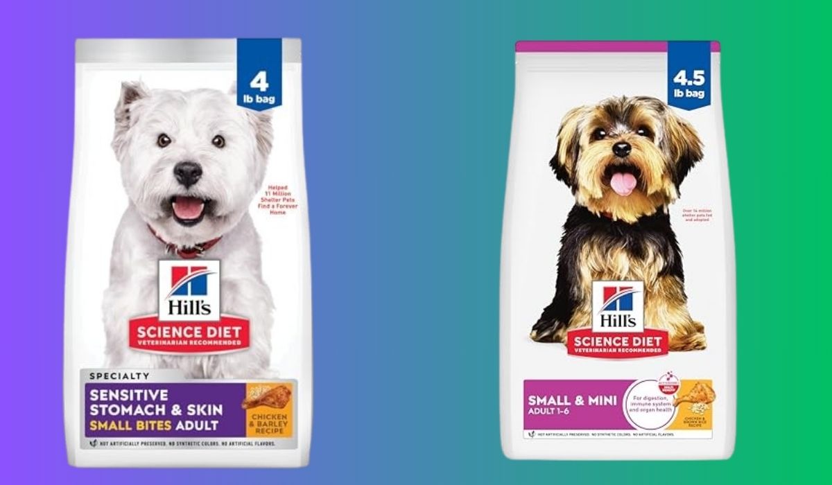 Best Dog Food for Dogs With Teeth Problems