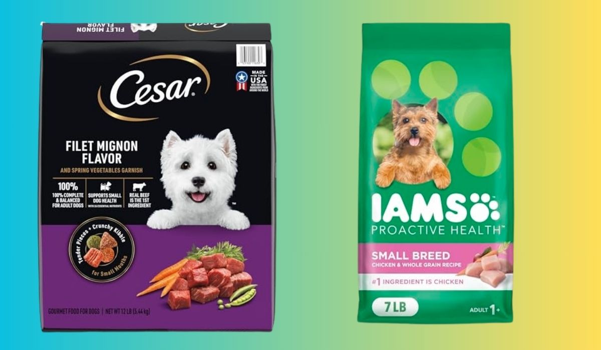 Best Dog Food for Small Dogs With Seizures