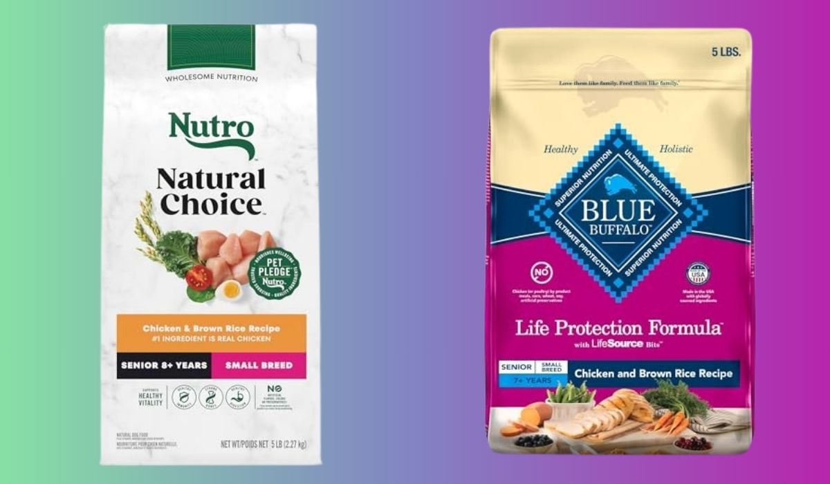 Best Dog Food for Senior Dogs Small Breed