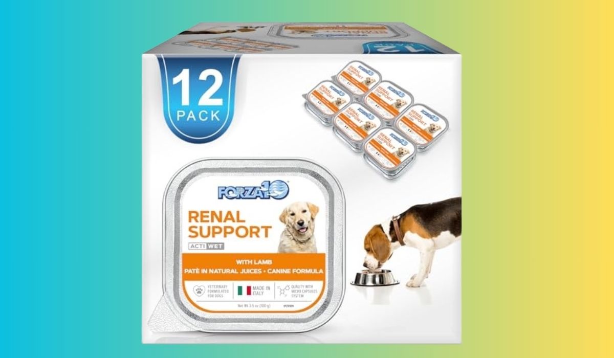Best Dog Food for Dogs With Kidney Failure