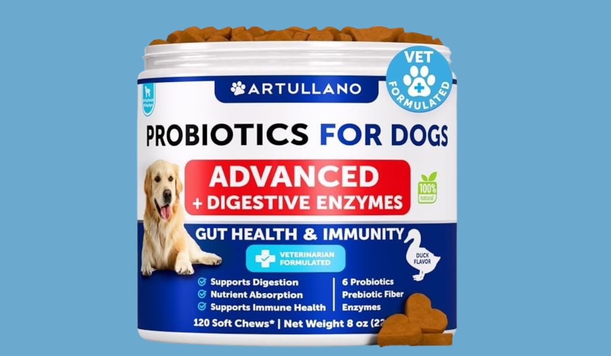 Best Dog Food for Dogs With Yeast Problems