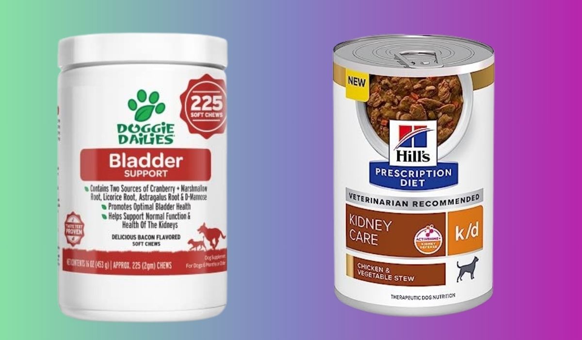 Best Dog Food for Dogs With Kidney Stones
