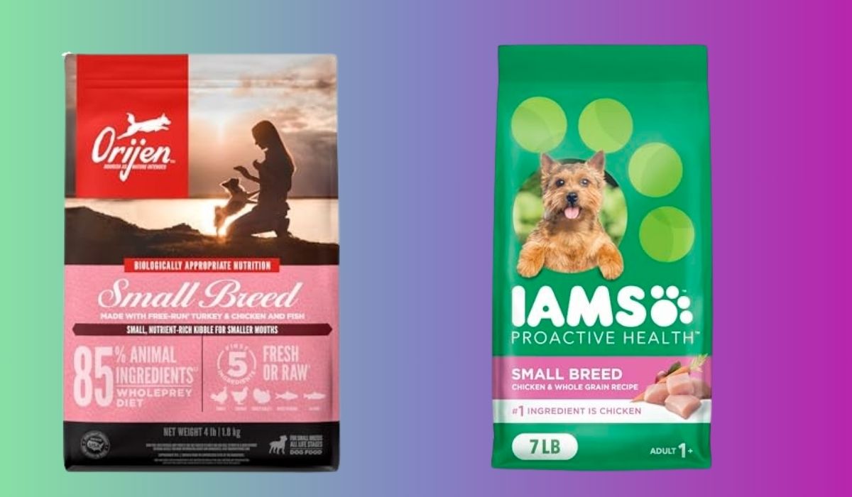 Best Dog Food for Small Dogs With Bad Breath