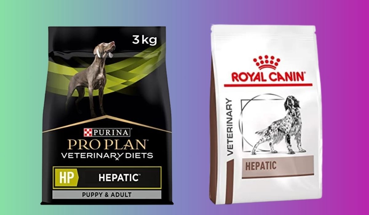 Best Dry Dog Food for Dogs With Liver Issues