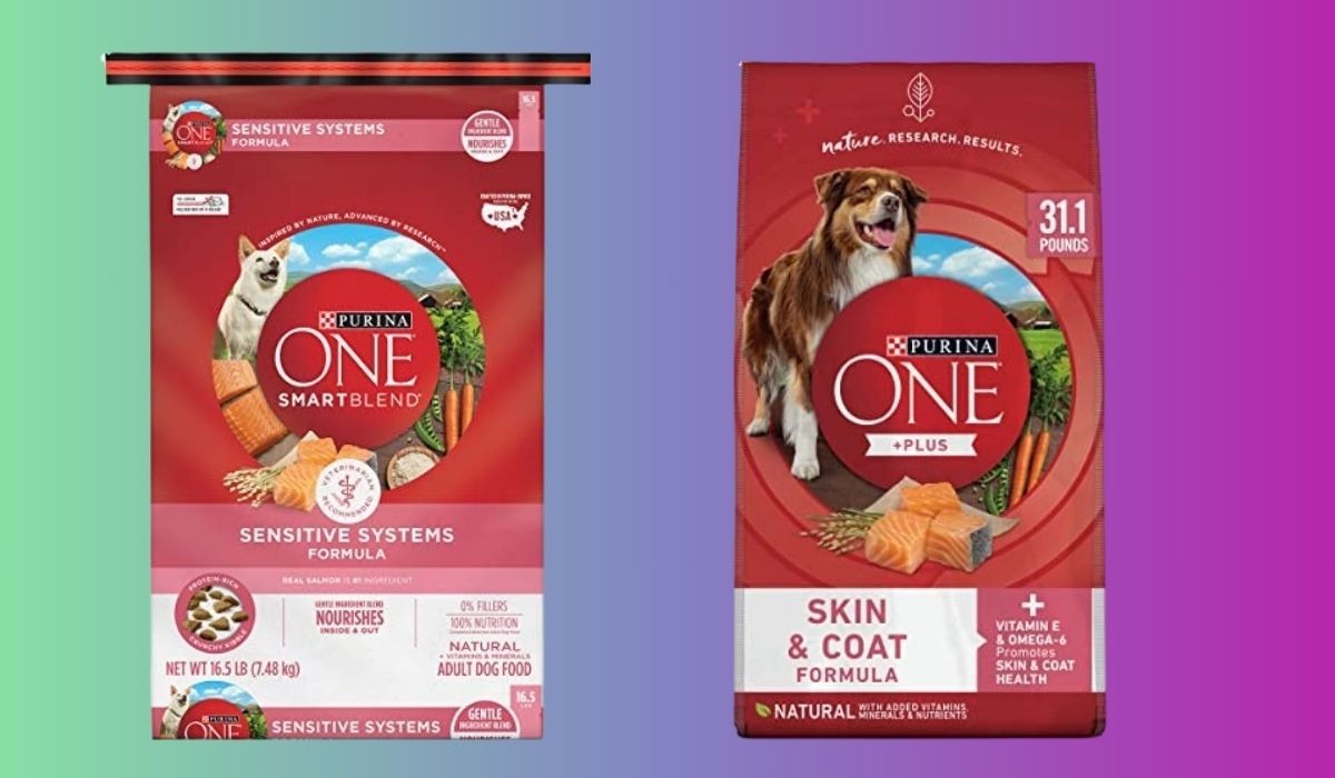 Best Dry Dog Food for Dogs With Skin Issues