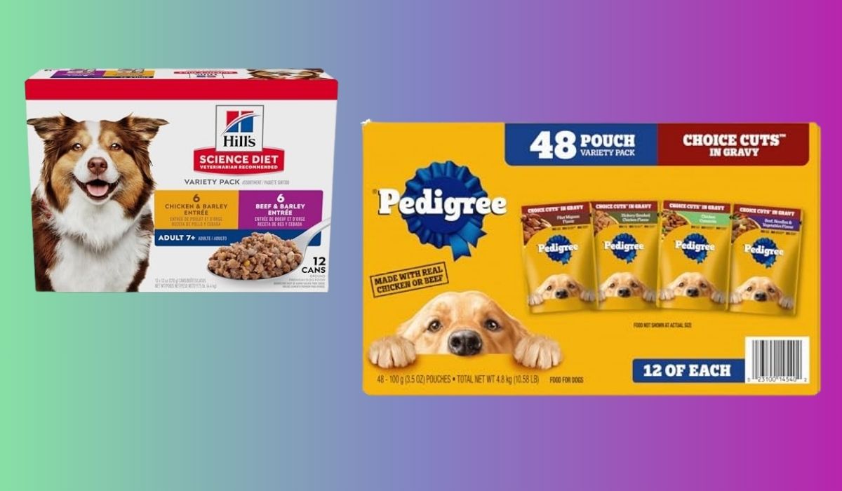 Best Dog Food for Older Dogs With Few Teeth