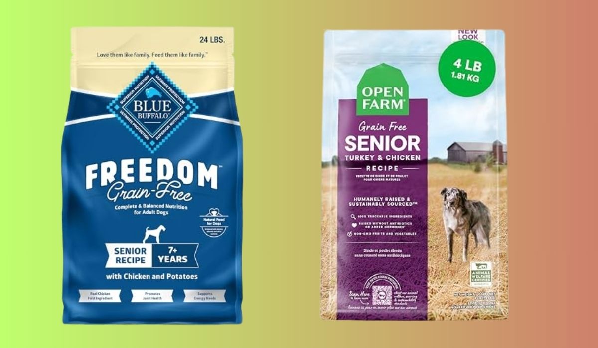 Best Grain Free Dry Dog Food for Senior Dogs